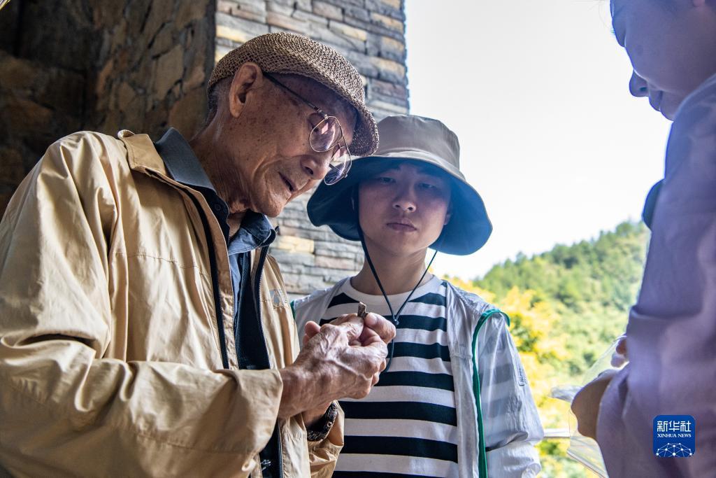 八键水果机压什么最稳